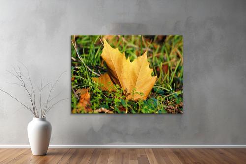 Dekoratif Doğa ( Nature ) Kanvas Tablo 375