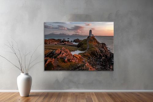 Dekoratif Doğa ( Nature ) Kanvas Tablo  379 