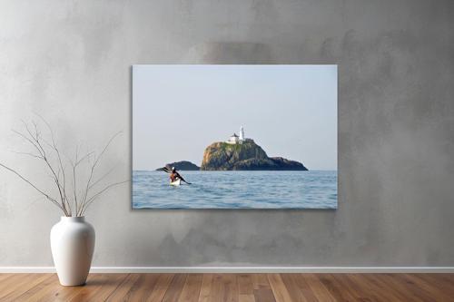 Dekoratif Doğa ( Nature ) Kanvas Tablo  204 