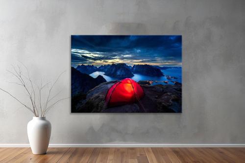 Dekoratif Doğa ( Nature ) Kanvas Tablo  382 
