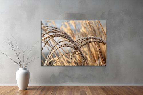 Dekoratif Doğa ( Nature ) Kanvas Tablo  212 