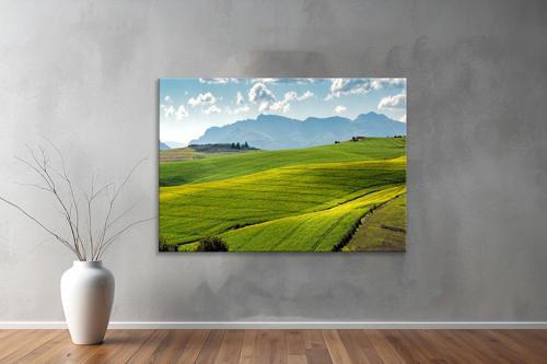 Dekoratif Doğa ( Nature ) Kanvas Tablo  39