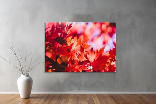 Dekoratif Doğa ( Nature ) Kanvas Tablo  391 