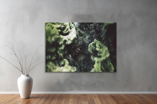 Dekoratif Doğa ( Nature ) Kanvas Tablo  216 