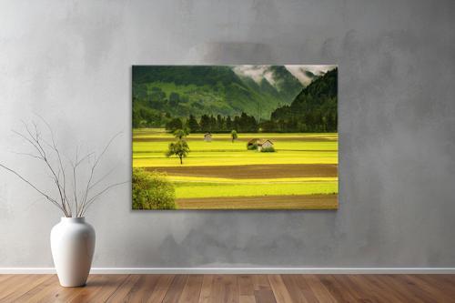Dekoratif Doğa ( Nature ) Kanvas Tablo  393 