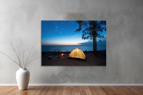 Dekoratif Doğa ( Nature ) Kanvas Tablo  218 