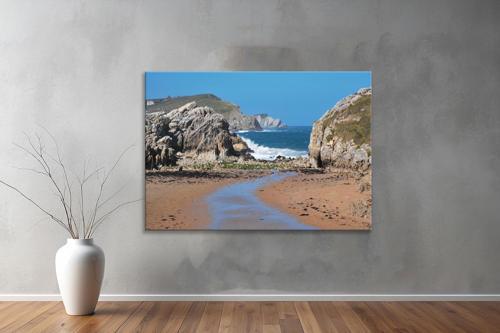 Dekoratif Doğa ( Nature ) Kanvas Tablo  220 