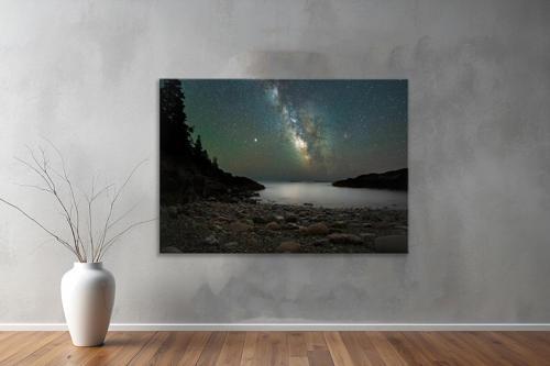 Dekoratif Doğa ( Nature ) Kanvas Tablo  398 