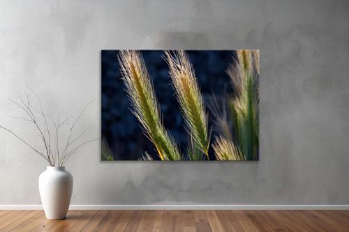 Dekoratif Doğa ( Nature ) Kanvas Tablo  224 