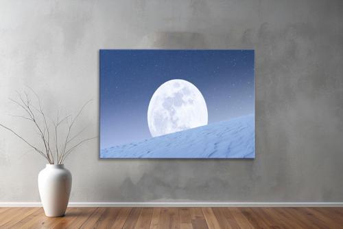 Dekoratif Doğa ( Nature ) Kanvas Tablo  406 