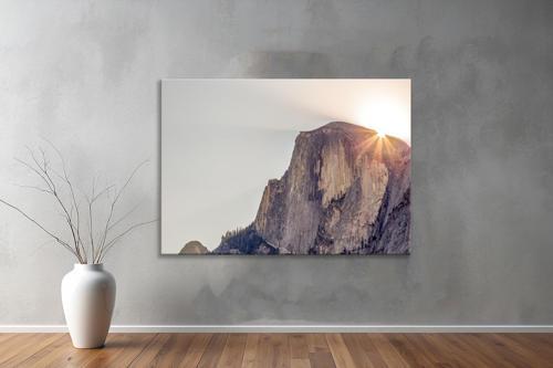 Dekoratif Doğa ( Nature ) Kanvas Tablo  231 