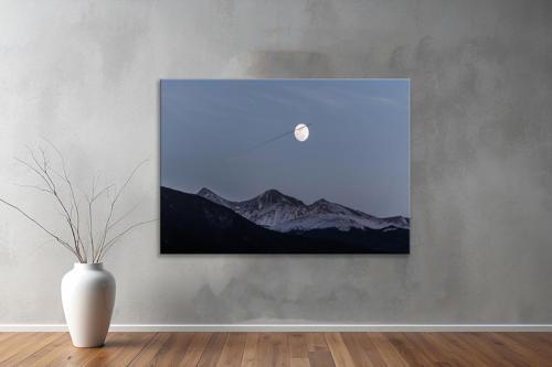Dekoratif Doğa ( Nature ) Kanvas Tablo  409 