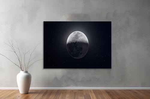 Dekoratif Doğa ( Nature ) Kanvas Tablo  410 