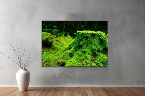 Dekoratif Doğa ( Nature ) Kanvas Tablo  414 
