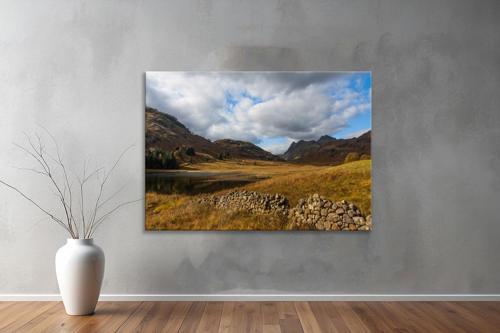 Dekoratif Doğa ( Nature ) Kanvas Tablo  242 