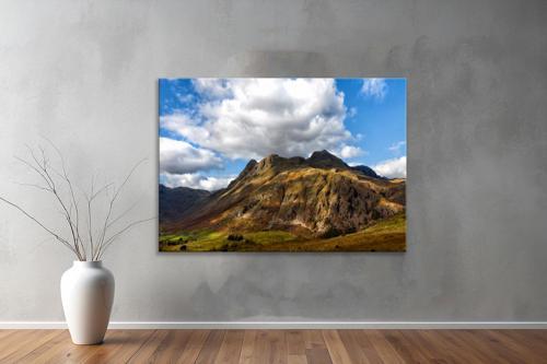 Dekoratif Doğa ( Nature ) Kanvas Tablo  243 
