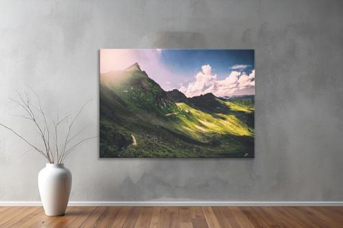 Dekoratif Doğa ( Nature ) Kanvas Tablo  423 