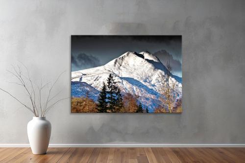 Dekoratif Doğa ( Nature ) Kanvas Tablo  424 