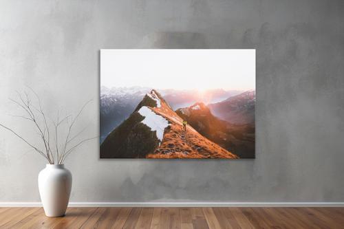 Dekoratif Doğa ( Nature ) Kanvas Tablo  427 