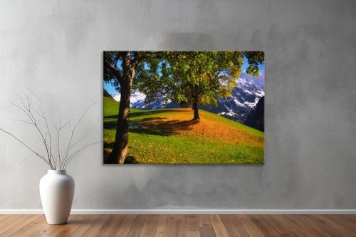 Dekoratif Doğa ( Nature ) Kanvas Tablo  428 