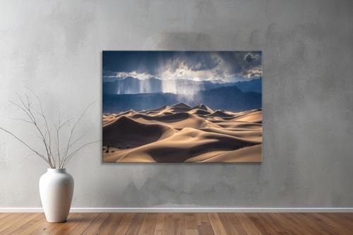Dekoratif Doğa ( Nature ) Kanvas Tablo  255 