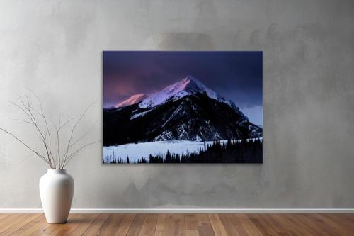 Dekoratif Doğa ( Nature ) Kanvas Tablo  438 