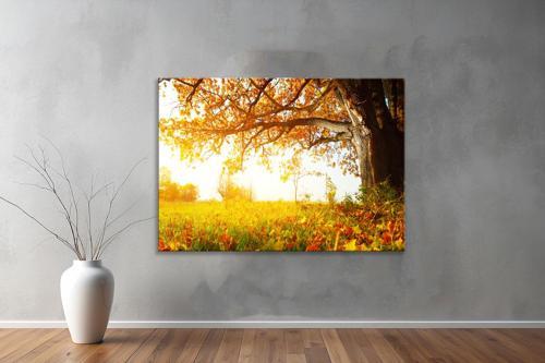 Dekoratif Doğa ( Nature ) Kanvas Tablo  260 