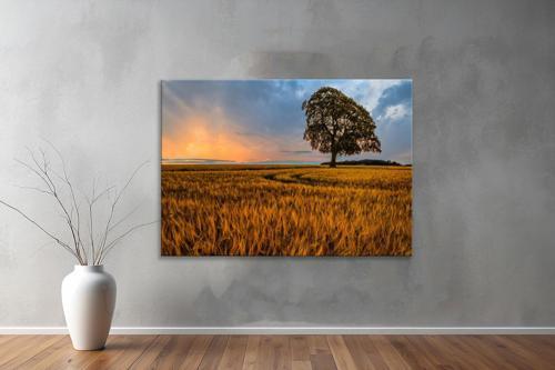 Dekoratif Doğa ( Nature ) Kanvas Tablo  264 