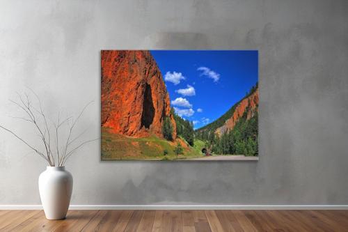Dekoratif Doğa ( Nature ) Kanvas Tablo  445 