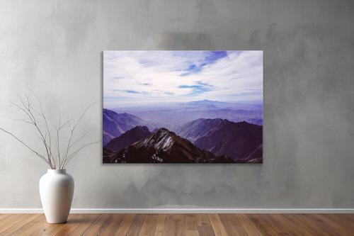 Dekoratif Doğa ( Nature ) Kanvas Tablo  446 