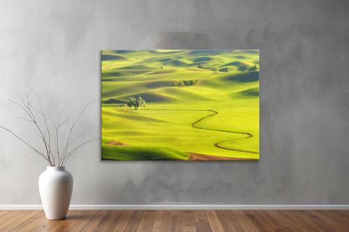 Dekoratif Doğa ( Nature ) Kanvas Tablo  266 