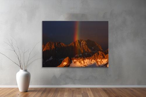 Dekoratif Doğa ( Nature ) Kanvas Tablo  447 