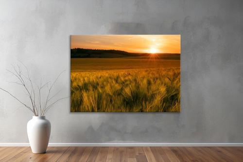 Dekoratif Doğa ( Nature ) Kanvas Tablo  267 