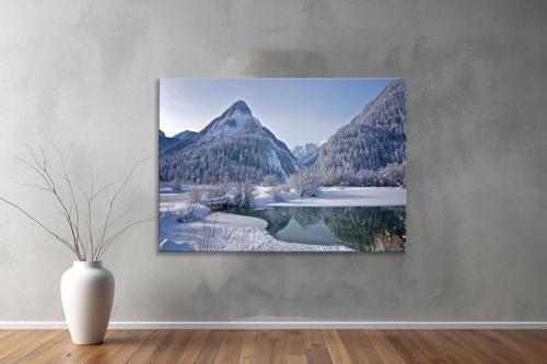 Dekoratif Doğa ( Nature ) Kanvas Tablo  452 