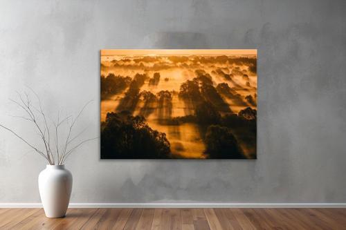 Dekoratif Doğa ( Nature ) Kanvas Tablo  273 