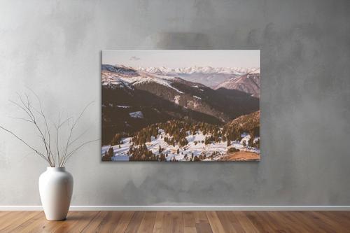 Dekoratif Doğa ( Nature ) Kanvas Tablo  454 