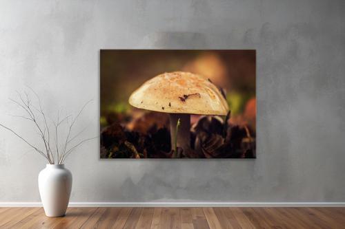 Dekoratif Doğa ( Nature ) Kanvas Tablo  455 