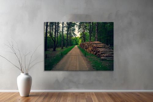 Dekoratif Doğa ( Nature ) Kanvas Tablo  275 