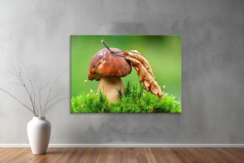 Dekoratif Doğa ( Nature ) Kanvas Tablo  456 