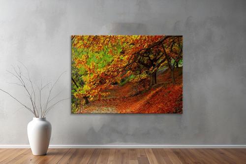 Dekoratif Doğa ( Nature ) Kanvas Tablo  276