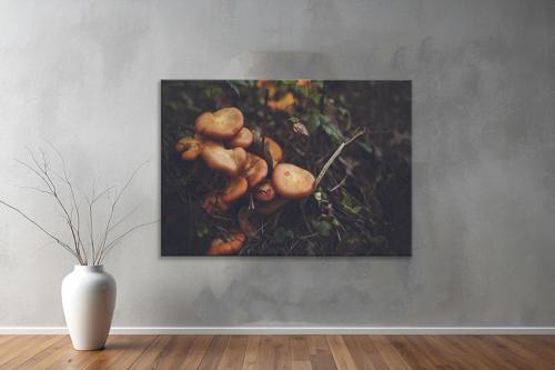 Dekoratif Doğa ( Nature ) Kanvas Tablo  457 