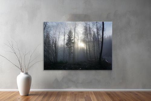 Dekoratif Doğa ( Nature ) Kanvas Tablo  277 