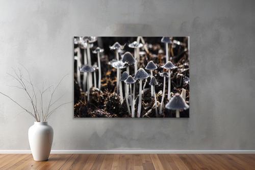 Dekoratif Doğa ( Nature ) Kanvas Tablo  458 