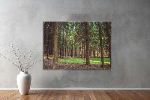 Dekoratif Doğa ( Nature ) Kanvas Tablo  278 