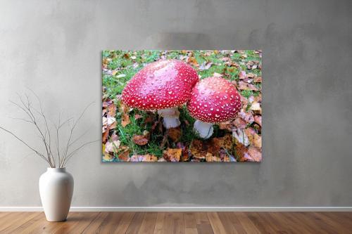 Dekoratif Doğa ( Nature ) Kanvas Tablo  459