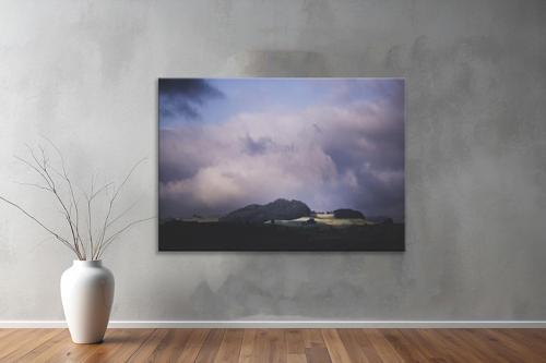 Dekoratif Doğa ( Nature ) Kanvas Tablo  462 