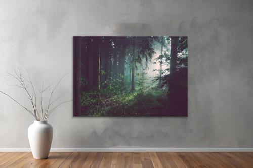Dekoratif Doğa ( Nature ) Kanvas Tablo  282 