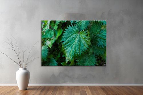 Dekoratif Doğa ( Nature ) Kanvas Tablo  466 