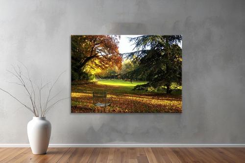 Dekoratif Doğa ( Nature ) Kanvas Tablo  286 