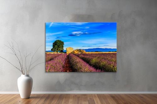Dekoratif Doğa ( Nature ) Kanvas Tablo  287 